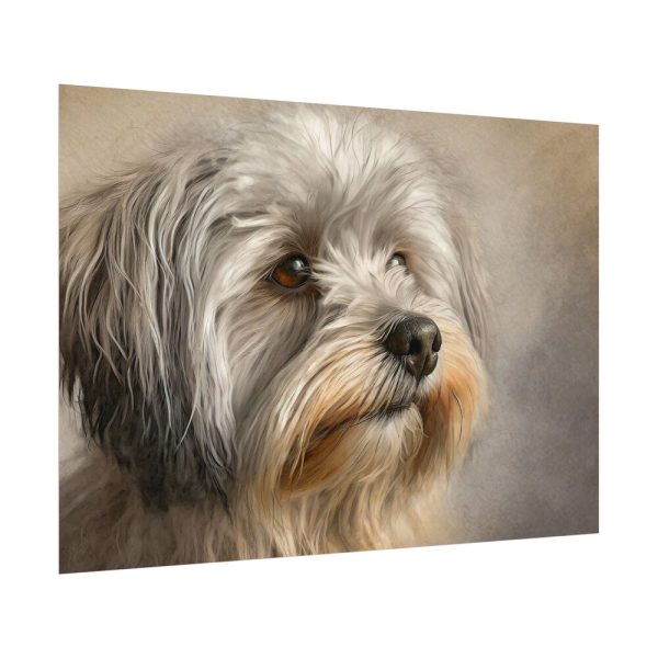 817710770512135796_2048.jpeg Havanese Dog Poster