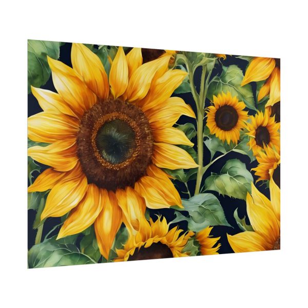 Sunflower Wildflower Blossom Poster
