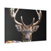 82227.jpg Fallow Deer, Cloven-hoofed Mammal Standard Canvas