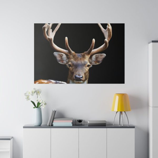 82227-3.jpg Fallow Deer, Cloven-hoofed Mammal Standard Canvas