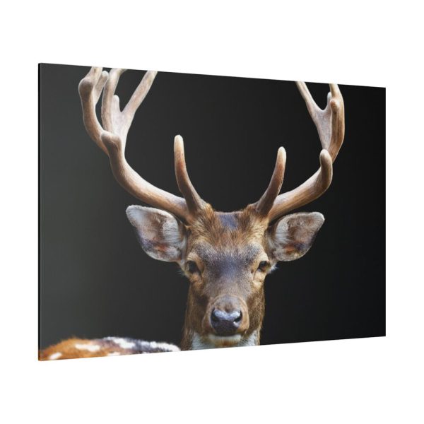 82227.jpg Fallow Deer, Cloven-hoofed Mammal Standard Canvas