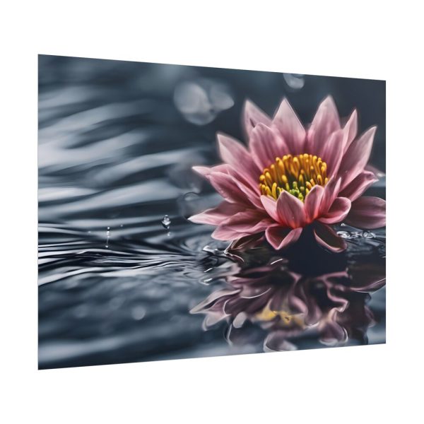 824878948412104429_2048.jpeg Water Lily Flower Blossom Water Poster
