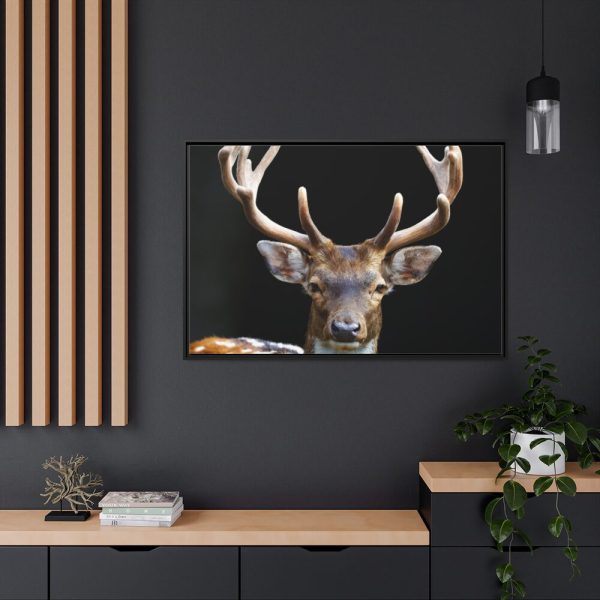 88289-4.jpg Fallow Deer, Cloven-hoofed Mammal Framed Canvas