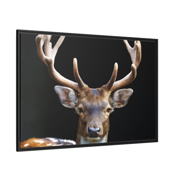 88289.jpg Fallow Deer, Cloven-hoofed Mammal Framed Canvas