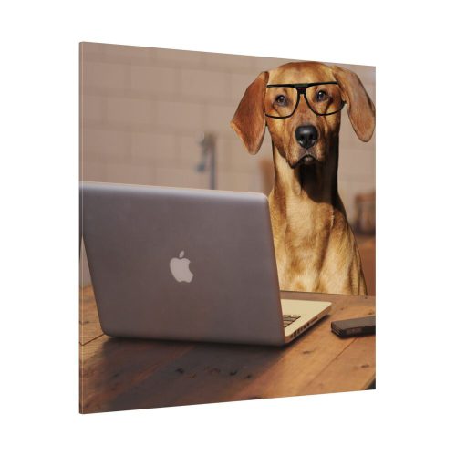 8997015862005800685_2048.jpeg Dog Using Laptop Computer Standard Canvas