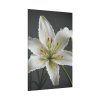 9019683250951456752_2048.jpeg White Lily Flower Standard Canvas