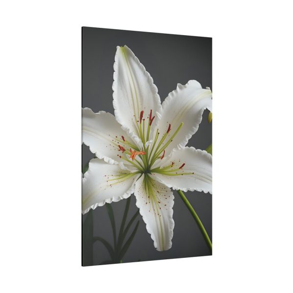 9019683250951456752_2048.jpeg White Lily Flower Standard Canvas