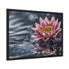 Water Lily Flower Blossom Water Framed Poster