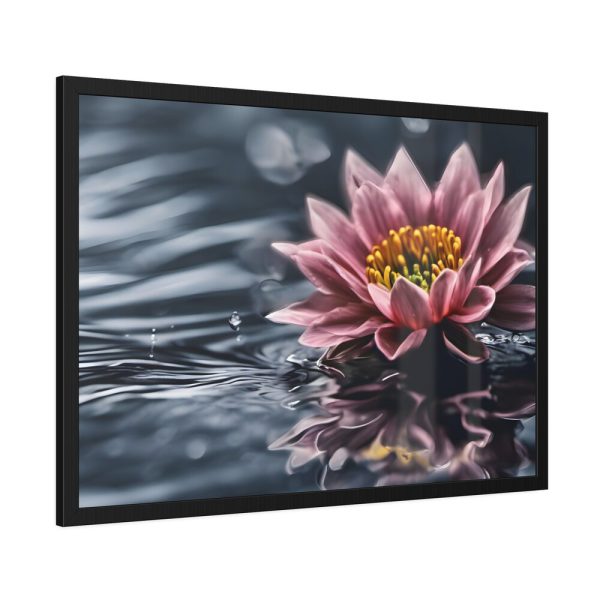 Water Lily Flower Blossom Water Framed Poster