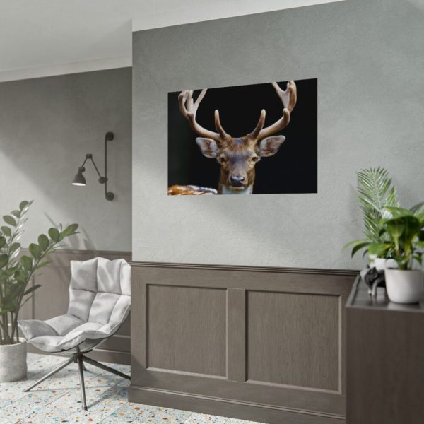 92408-14.jpg Fallow Deer, Cloven-hoofed Mammal Poster