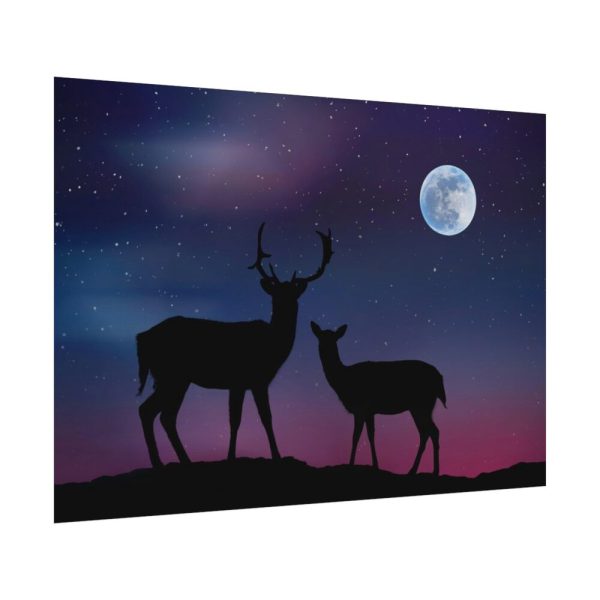 92408-2.jpg Silhouette Deer Aurora Sky Poster