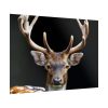 92409-12.jpg Fallow Deer, Cloven-hoofed Mammal Poster