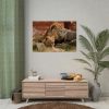 Lion South Africa Poster