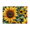 Sunflower Wildflower Blossom Poster