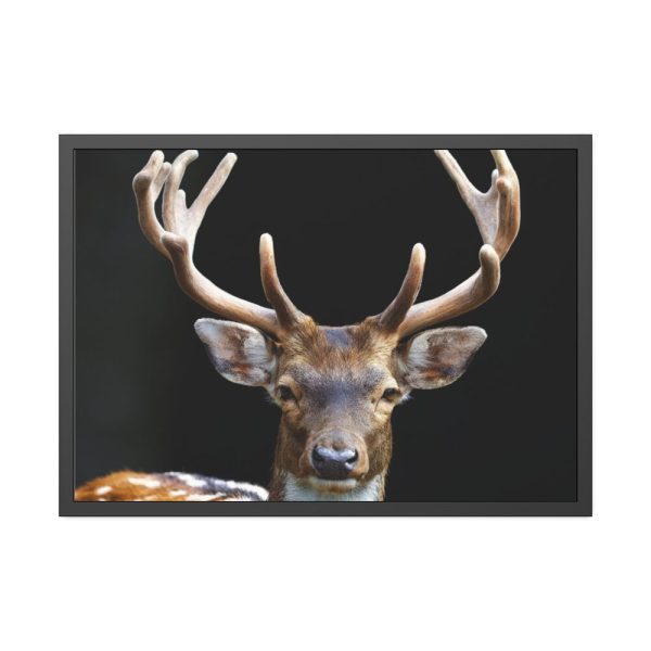 93855-4.jpg Fallow Deer, Cloven-hoofed Mammal Framed Poster