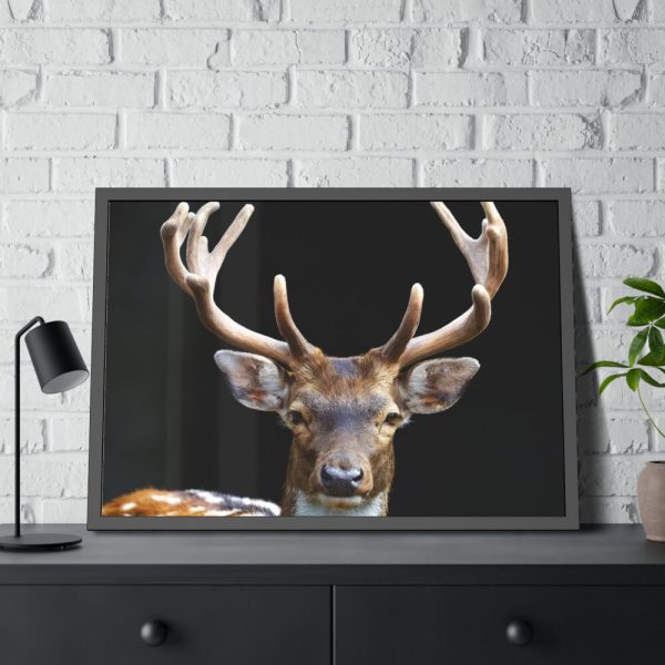 93855-7.jpg Fallow Deer, Cloven-hoofed Mammal Framed Poster