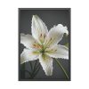 962295516892071625_2048.jpeg White Lily Flower Framed Poster