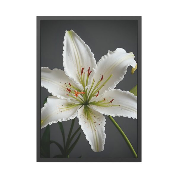 962295516892071625_2048.jpeg White Lily Flower Framed Poster