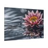 Water Lily Flower Blossom Water Standard Canvas