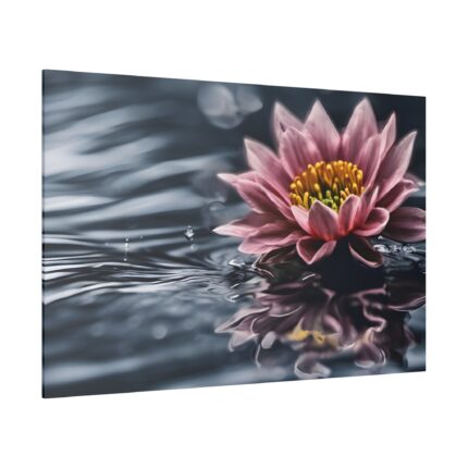 Water Lily Flower Blossom Water Standard Canvas