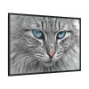 10407553686880210051_2048.jpeg Cat Face Framed Canvas