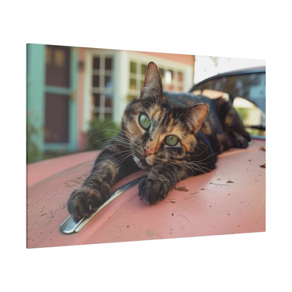 10652688614801492966_2048.jpeg Calico Cat On Car Standard Canvas