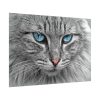 10932766637828975766_2048.jpeg Cat Face Poster