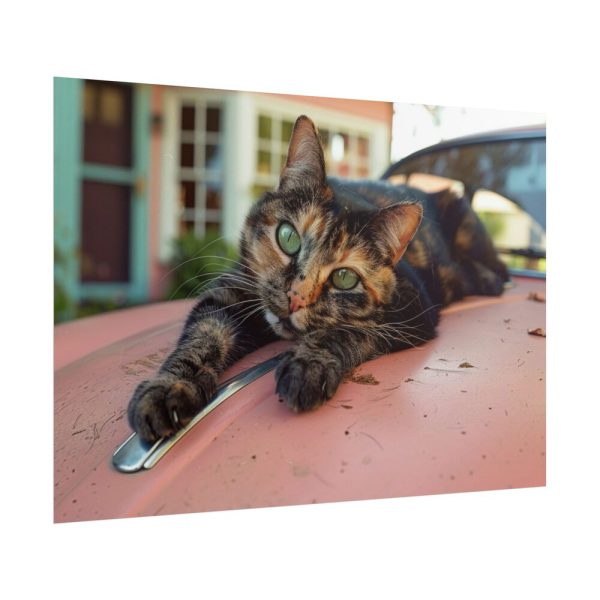 11525127440064249461_2048.jpeg Calico Cat On Car Poster