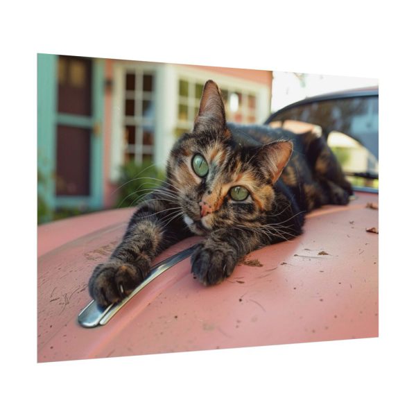 11564618669697979777_2048.jpeg Calico Cat On Car Poster