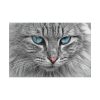 11755138237274154898_2048.jpeg Cat Face Standard Canvas