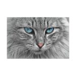 Cat Face Standard Canvas - Image 2