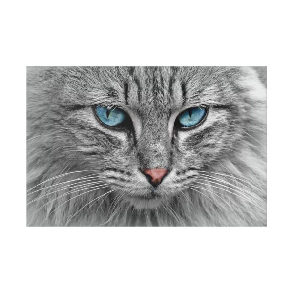 11755138237274154898_2048.jpeg Cat Face Standard Canvas