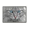 11919518354055858485_2048.jpeg Cat Face Framed Canvas