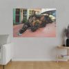 11937840418496011159_2048.jpeg Calico Cat On Car Standard Canvas