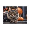 1197609897625551614_2048.jpeg Cat Pumpkin Halloween Poster