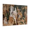 12628910922326087018_2048.jpeg Bryce Canyon National Park Poster