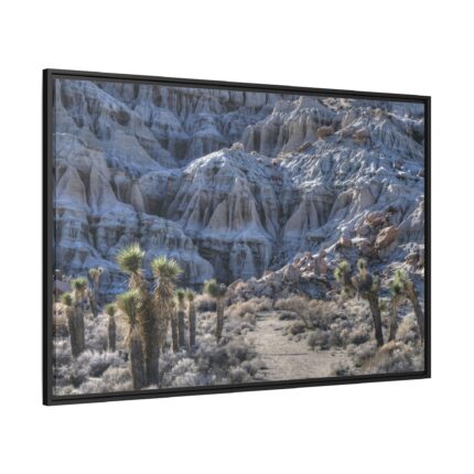 Red Rock Canyon Framed Canvas
