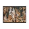 12992148143342729127_2048-1.jpeg Bryce Canyon National Park Framed Poster