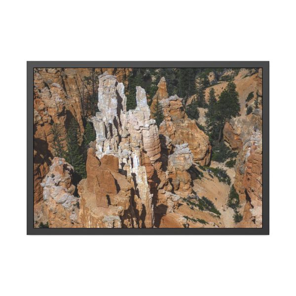 12992148143342729127_2048.jpeg Bryce Canyon National Park Framed Poster