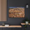 13386398863616707830_2048.jpeg Bryce Canyon Framed Canvas