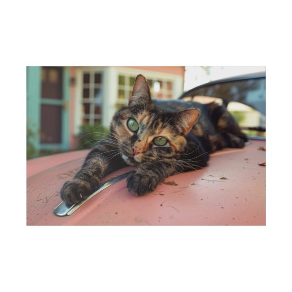13458466576805765295_2048.jpeg Calico Cat On Car Standard Canvas