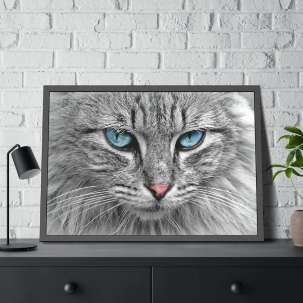 14043859405517795005_2048.jpeg Cat Face Framed Poster