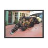 14327432651826729678_2048.jpeg Calico Cat On Car Framed Poster