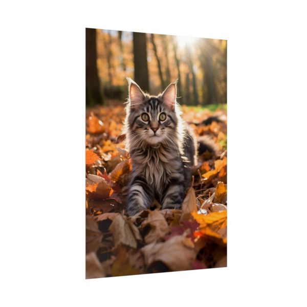 14494412278593078711_2048.jpeg Fluffy Tabby Kitty Laying Poster