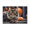 14575803383435849836_2048.jpeg Cat Pumpkin Halloween Poster