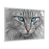 14758080062089389278_2048.jpeg Cat Face Framed Canvas