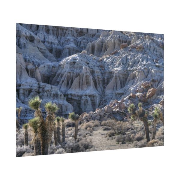 15535041817969670642_2048.jpeg Red Rock Canyon Poster