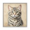 15569299688949531024_2048.jpeg Gray Tabby Cat Portrait Art Framed Canvas