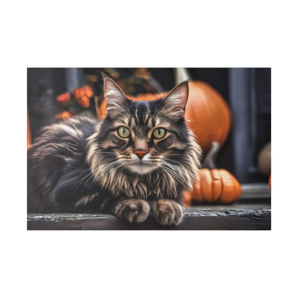16082972145994141742_2048.jpeg Cat Pumpkin Halloween Standard Canvas