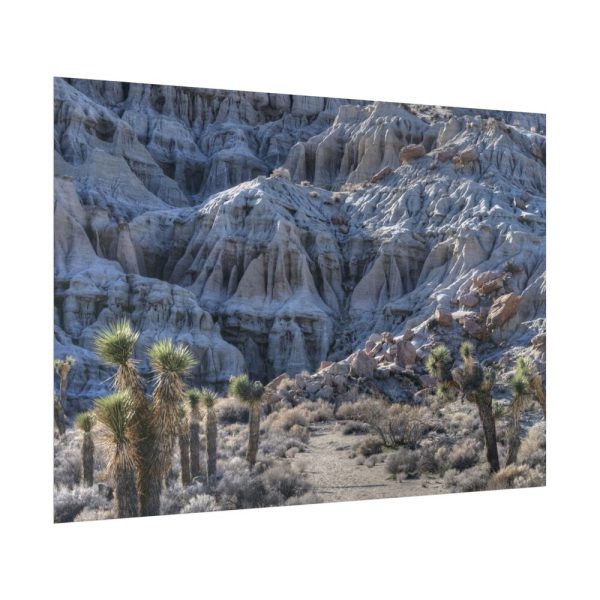 16378401907883298300_2048.jpeg Red Rock Canyon Poster